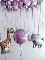 На выписку №2