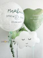 На выписку №20.3