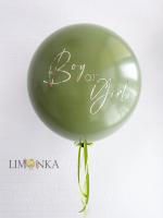 Шар определения пола №3