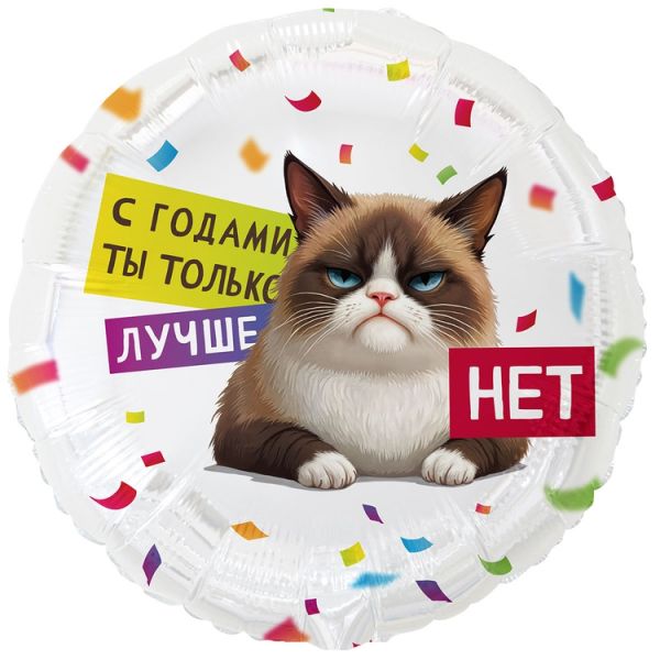 by-18-rus-youre-a-better-angry-cat-over-the-years