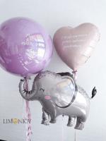 На выписку №2.2