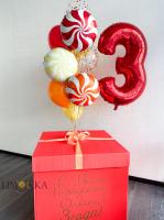 Коробка сюрприз №9