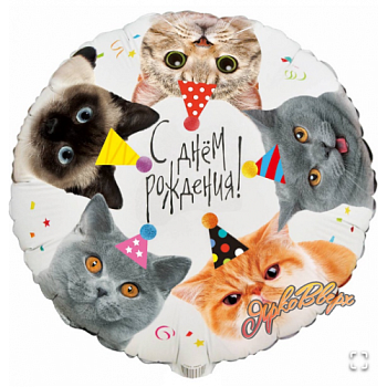 К 18" РУС ДР Котики фотографичные