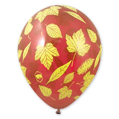 shkolnyy_prazdnik_shary_shelk_kristall_14_osennie_listya_1103_0197