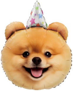 405194c1_0b15_4d6b_81d0_cdd26a738b6d_76a1a2f9_9ac0_11f0_b63a_5c6f6916e93d.resize1