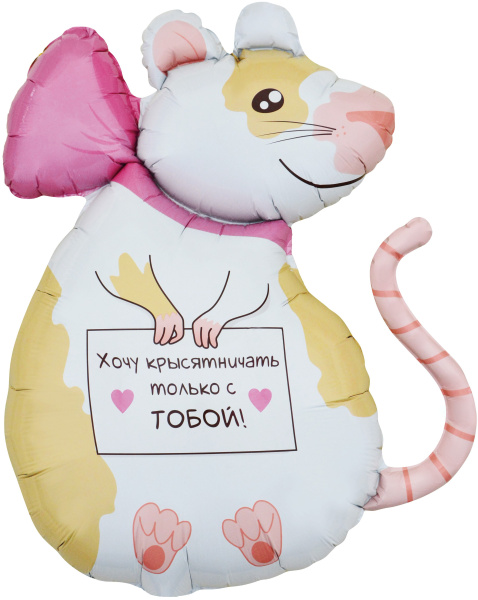 6168edc2_641c_439d_b0dc_3a2aac9b9d7b_baa2024e_52e9_11ef_b629_5c6f6916e93d