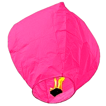 Небесный Фонарик ( роза )