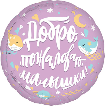 Шар (19''/48 см) Круг, Добро пожаловать, Малышка!